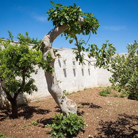 טורה א מארה Suite San Giorgio מראה חיצוני תמונה